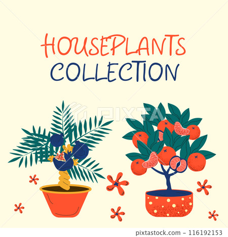 Discover a stylish collection of colorful plant Discover a stylish collection of colorful plant 116192153