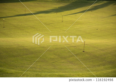 Golf course in green field 116192498