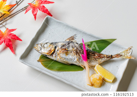 Grilled salted horse mackerel on a plate 116192513