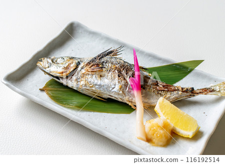 Grilled salted horse mackerel on a plate 116192514