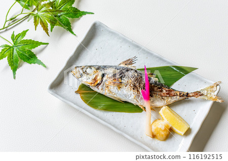 Grilled salted horse mackerel on a plate 116192515