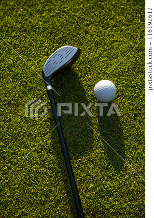 Closeup Golf ball on green grass on course, Sport and lifestyle 116192612