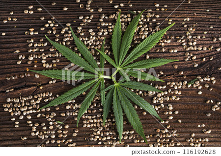 Hemp oil and cannabis leaves on light background 116192628