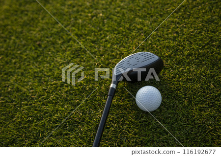 Playing Golf ball, course on a sunny day Playing Golf ball, course on a sunny day 116192677