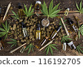 Cbd oil and marijuana plant, hemp seeds, medical marijuana concept 116192705