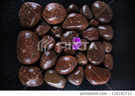 Spa stones and purple flowers, orchid 116192711