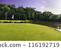 Golf course in green field 116192719