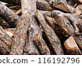 Pile of chopped firewood logs with rough bark, ready for use, stacked haphazardly, showcasing various sizes and textures. 116192796