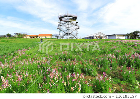 太陽山田徑場和花園 116193157