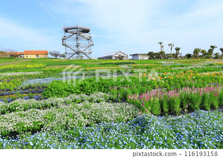 太陽山田徑場和花園 116193158