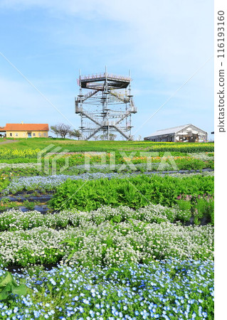 Soleil Hill: Athletics and Flower Gardens 116193160