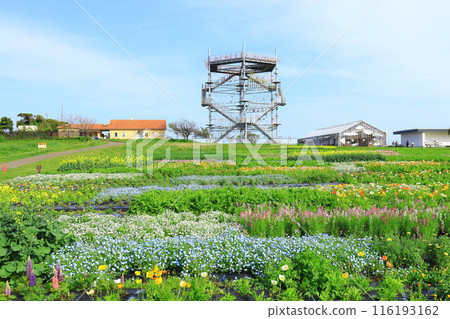 太陽山田徑場和花園 116193162