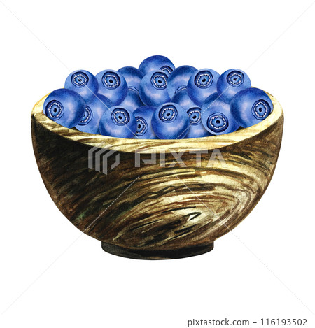 Blueberries in a wooden bowl. Ripe wild berries. A hand-drawn watercolor illustration. Isolate. For packages, labels and flyers. For banners, stickers and postcards. 116193502