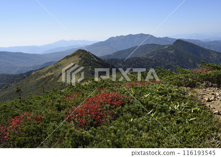 Climbing Mt. Shibutsu, Oze, Gunma Prefecture Climbing Mt. Shibutsu, Oze, Gunma Prefecture 116193545