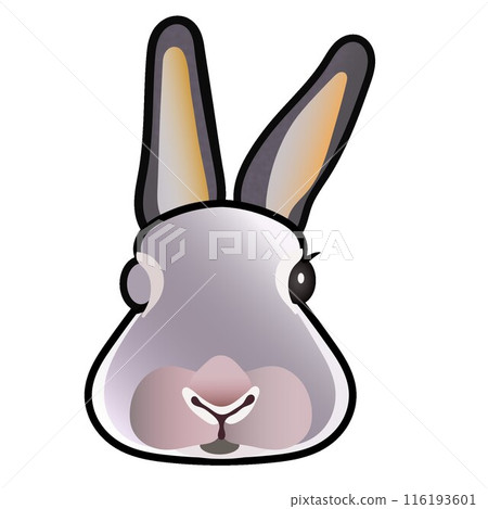Rabbit face illustration 116193601