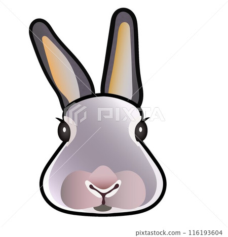 Rabbit face illustration 116193604