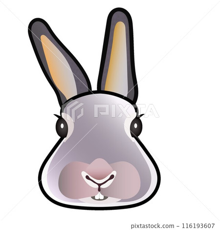Rabbit face illustration 116193607