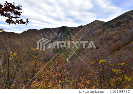 Makikiyama, mountain climbing, Niigata Prefecture Makikiyama, mountain climbing, Niigata Prefecture 116193787