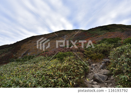 Makikiyama, mountain climbing, Niigata Prefecture 116193792