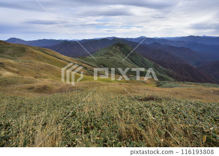 Makikiyama, mountain climbing, Niigata Prefecture Makikiyama, mountain climbing, Niigata Prefecture 116193808