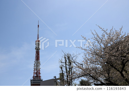 A view of Tokyo Tao A view of Tokyo Tao 116193843