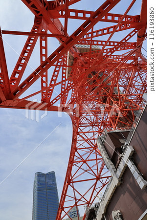 東京地標東京鐵塔景觀 東京地標東京鐵塔景觀 116193860