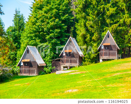 Three wooden cabins nestled amongst lush green trees on a grassy hillside. Three wooden cabins nestled amongst lush green trees on a grassy hillside. 116194025