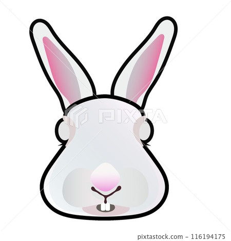 Rabbit face illustration 116194175
