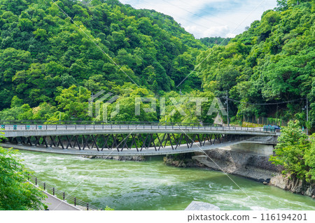 京都府宇治市、天瀨水壩和下游優雅的白虹橋 116194201