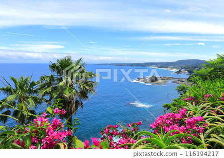 伊豆大崎翼的風景 116194217