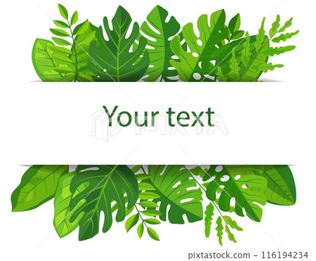 vector features a vibrant green leaves frame surrounding a blank white rectangular space perfect for mockups or copy space. lush foliage adds a touch of nature and freshness to any design vector features a vibrant green leaves frame surrounding a blank white rectangular space perfect for mockups or copy space. lush foliage adds a touch of nature and freshness to any design 116194234