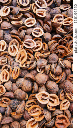<Vertical size> Walnut shells spread all over the surface 116194260