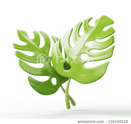 Tropical green monstera leaves 3d render icon. Exotic plant branches, evergreen liana foliage or philodendron isolated on white background. Realistic summer decorative design element. 3D illustration 116194328