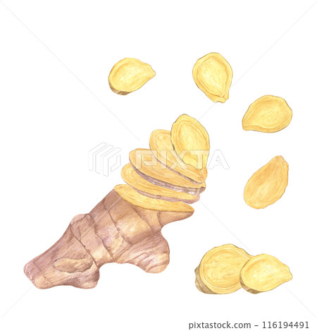 Ginger root heap. Whole and slices ginger. Watercolor illustration illustration isolated on white. Natural organic product for recipe, package. For treating colds, strengthening the immune system Ginger root heap. Whole and slices ginger. Watercolor illustration illustration isolated on white. Natural organic product for recipe, package. For treating colds, strengthening the immune system 116194491