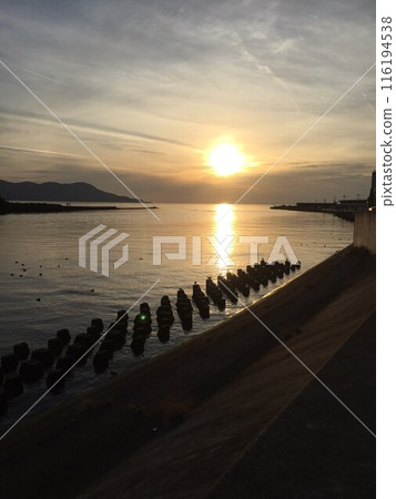 在海上日落 116194538