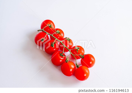 Tufted tomato 116194613