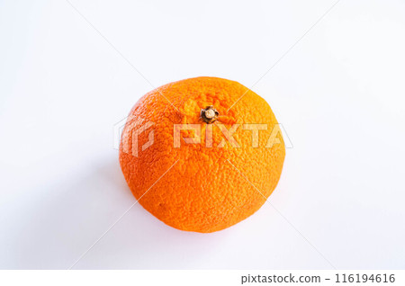 Iyokan fruit with water removed Iyokan fruit with water removed 116194616