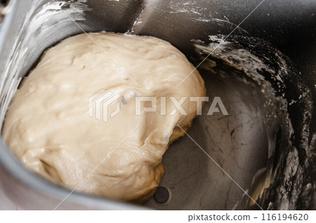 Making bread dough with a home bakery: First rise 116194620
