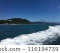 駿河灣的浪花由船隻繪製 116194739