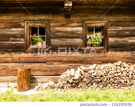 A rustic wooden house with two windows, one featuring a potted plant. A pile of firewood sits in front of the house, preparing it for the upcoming winter. 116195026