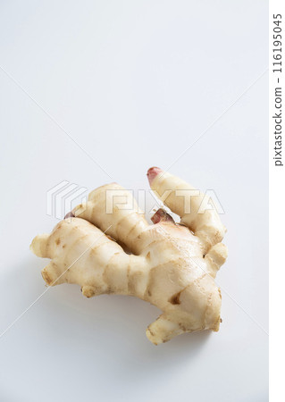New ginger 116195045