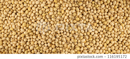 Raw dehydrated soybeans isolated on white background 116195172