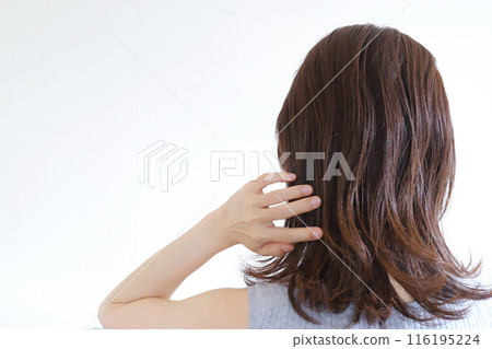 女性頭髮受損的頭髮 116195224