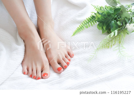 有修腳的婦女的腳 有修腳的婦女的腳 116195227