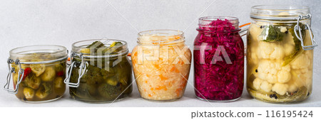 Cabbage fermentation, sauerkraut 116195424