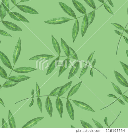 Marigold Flower Leaves Seamless Pattern. Floral Leaf Digital Paper. Marigold Flower Leaves Seamless Pattern. Floral Leaf Digital Paper. 116195534