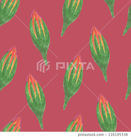 Marigold Flower Bud Seamless Pattern. Floral Bud Digital Paper. Marigold Flower Bud Seamless Pattern. Floral Bud Digital Paper. 116195536