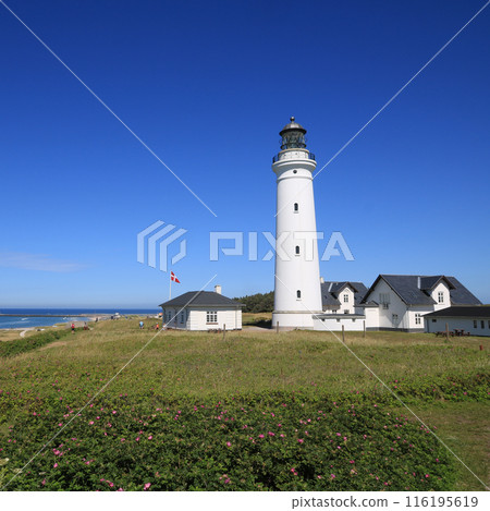 Hirtshals Fyr, lighthouse in Jutland. Hirtshals Fyr, lighthouse in Jutland. 116195619
