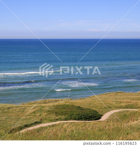 Foot path along the coast and blue sea in Hirtshals, Denmark. 116195623