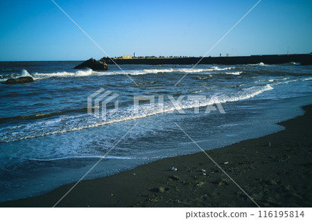 Sea Sea 116195814